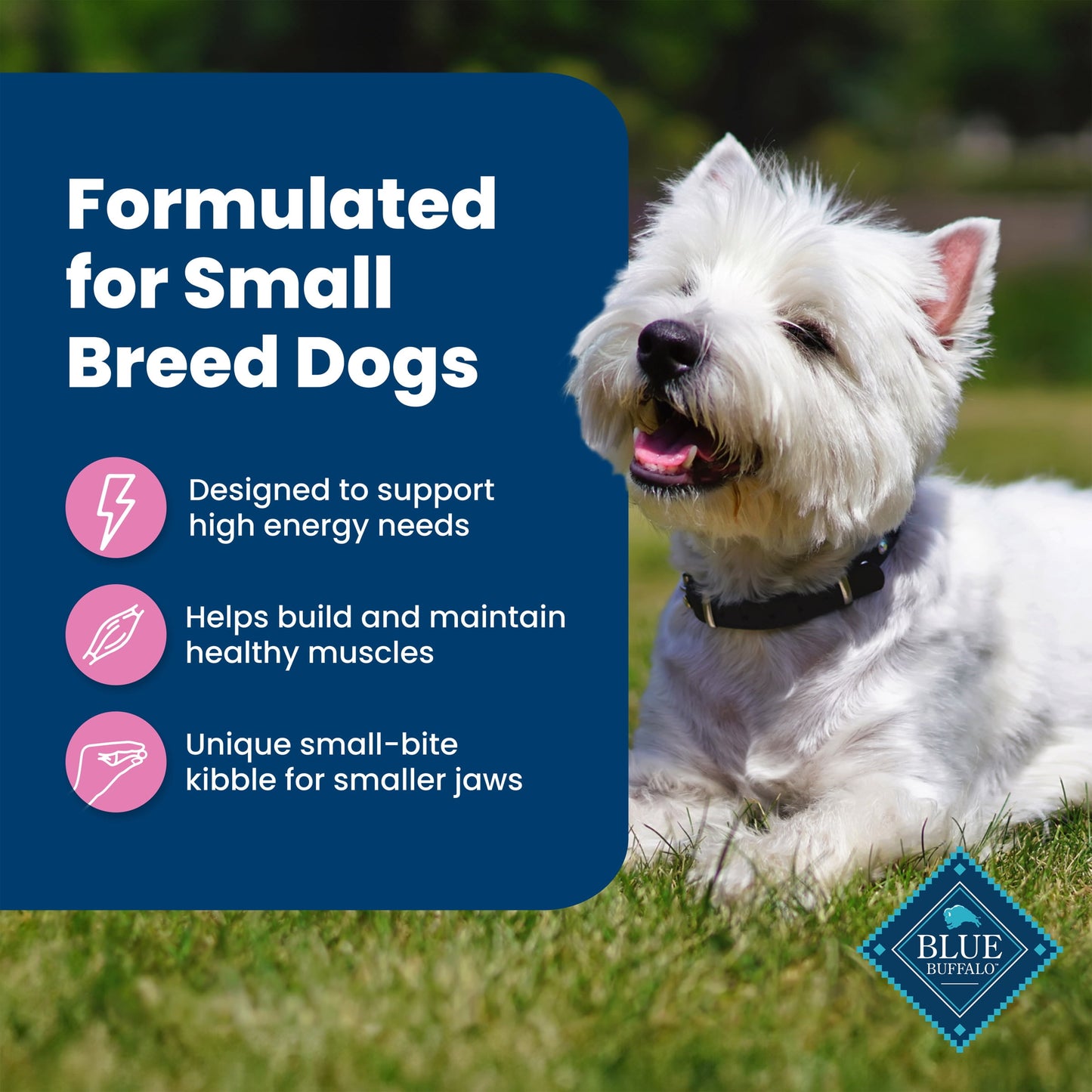 Blue Buffalo Life Protection Formula Small Breed Dry Dog Food Chicken & Brown Rice 5 lbs.