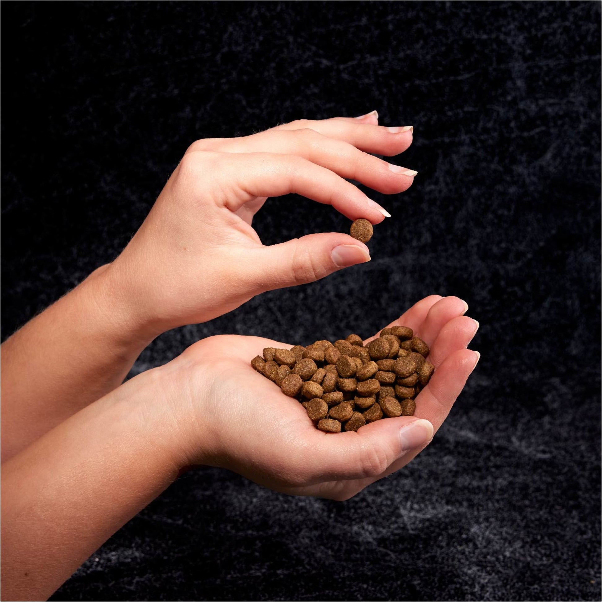 Crave Grain Free Adult Dry Dog Food With Protein From Beef, 4 Lb. Bag