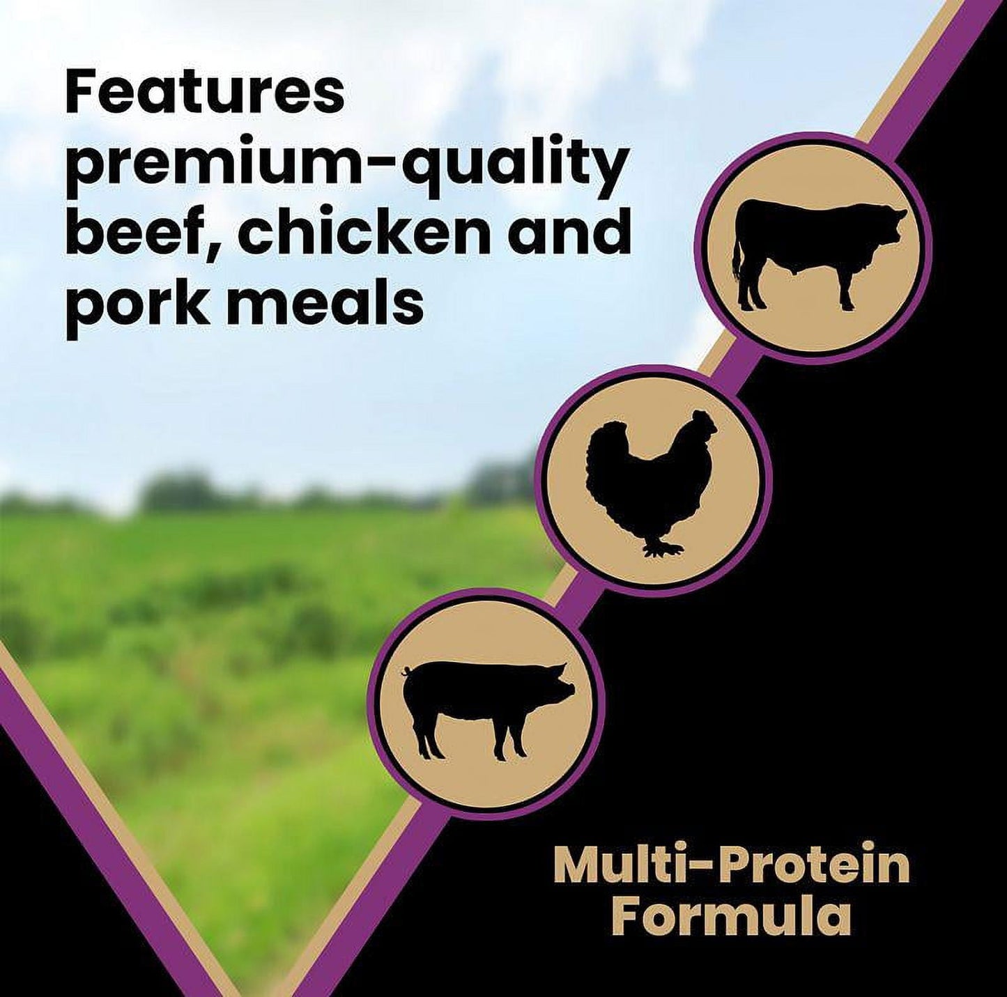 Victor Classic Professional Formula All Life Stages Dry Dog Food 40 lb