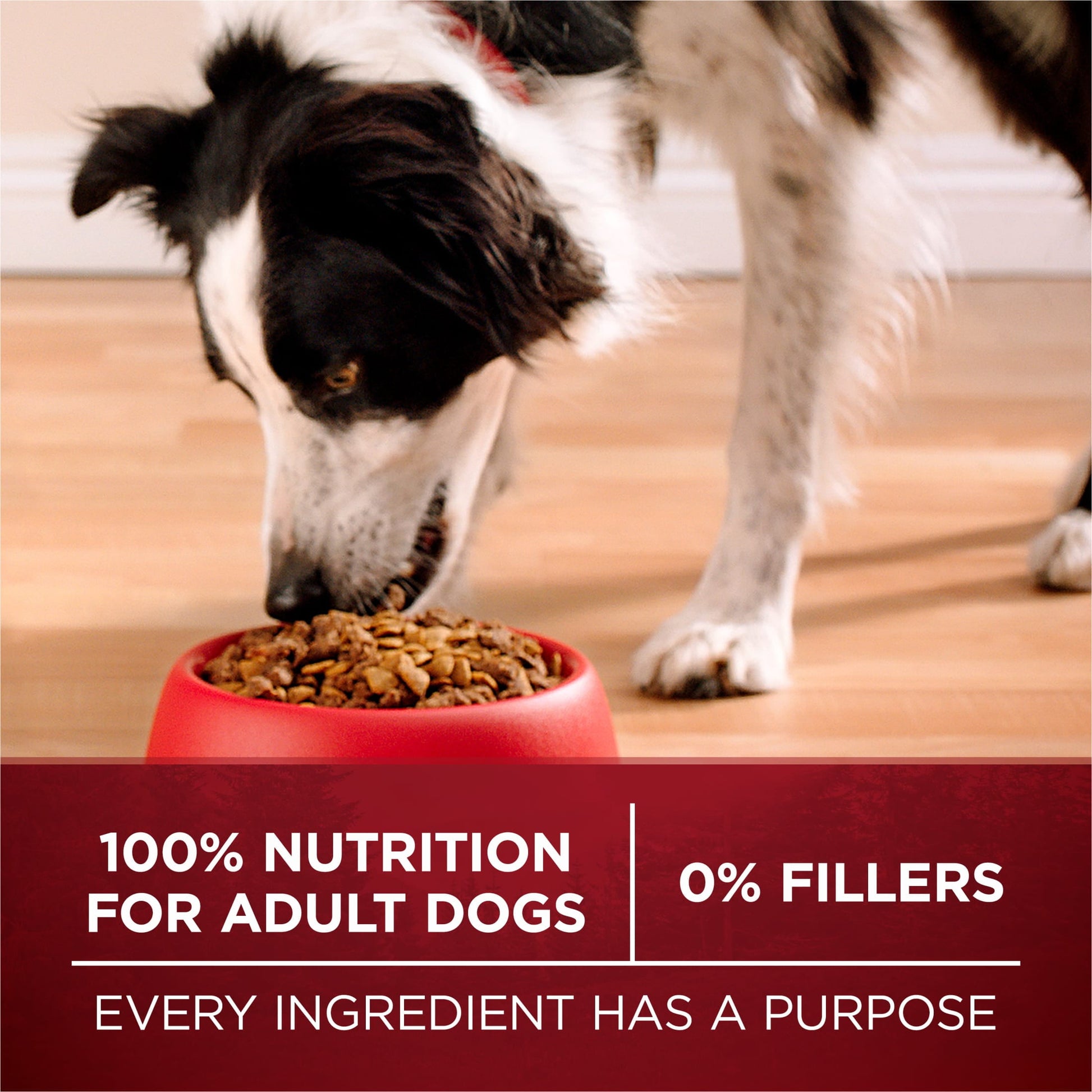Purina ONE True Instinct Dry Dog Food, Grain-Free High Protein with Real Beef, 12.5 lb Bag