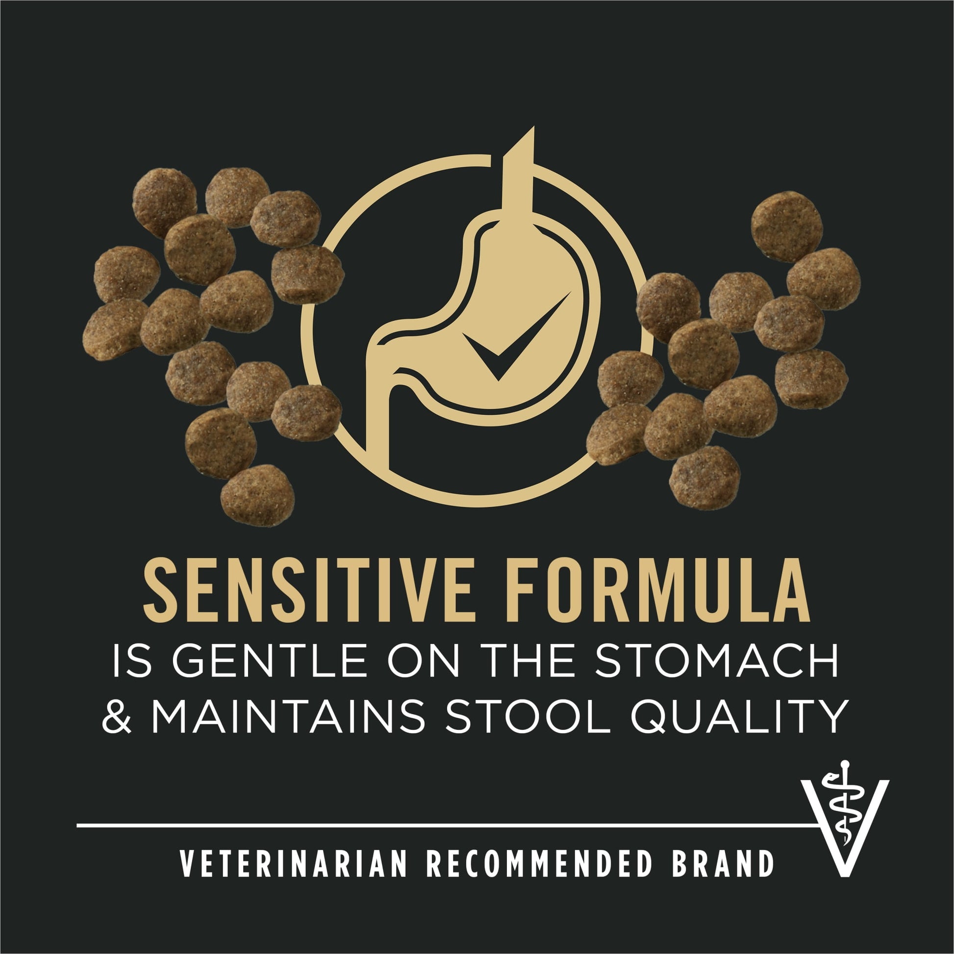 Purina Pro Plan Sensitive Skin and Sensitive Stomach Dog Food Puppy Salmon and Rice Formula, 24 lb Bag