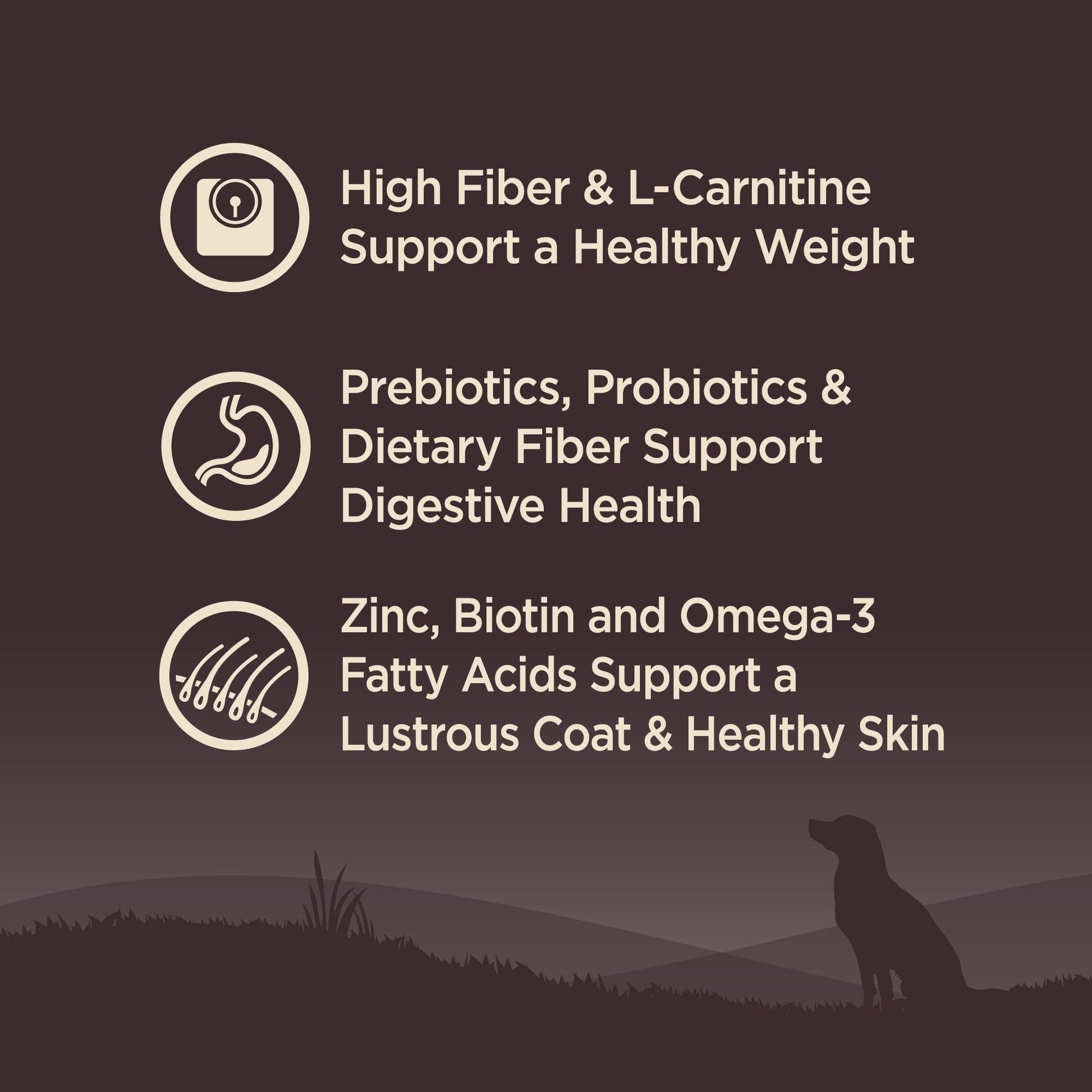 Wellness CORE Natural Grain Free Dry Dog Food, Small Breed Healthy Weight, 12-Pound Bag
