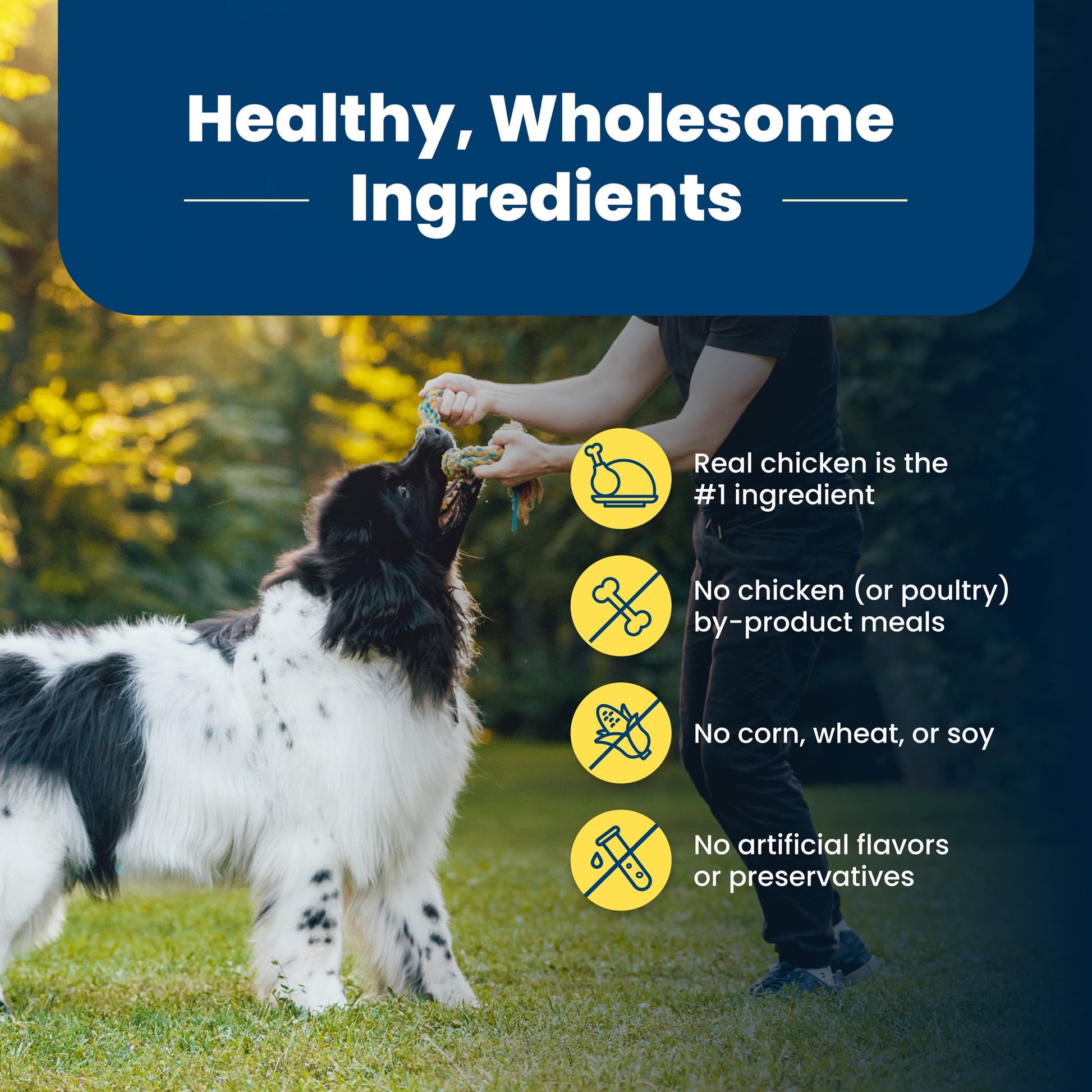 Blue Buffalo Life Protection Formula Adult Healthy Weight Dry Dog Food 24 lbs.