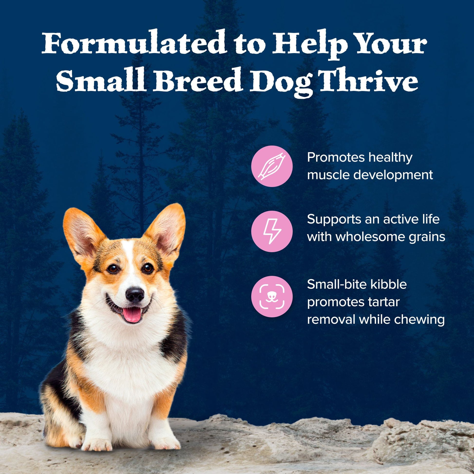 Blue Buffalo Wilderness Small Breed Dry Dog Food Plus Wholesome Grains, Chicken 4.5 lbs.