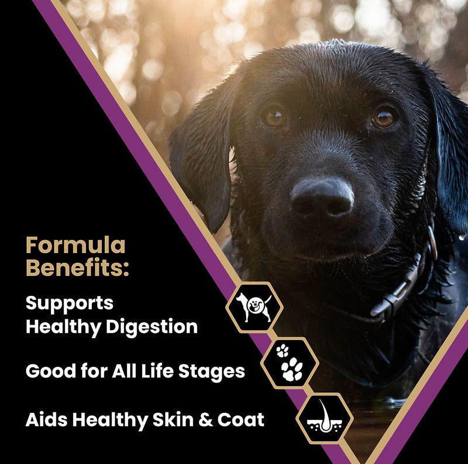 Victor Classic Professional Formula All Life Stages Dry Dog Food 40 lb