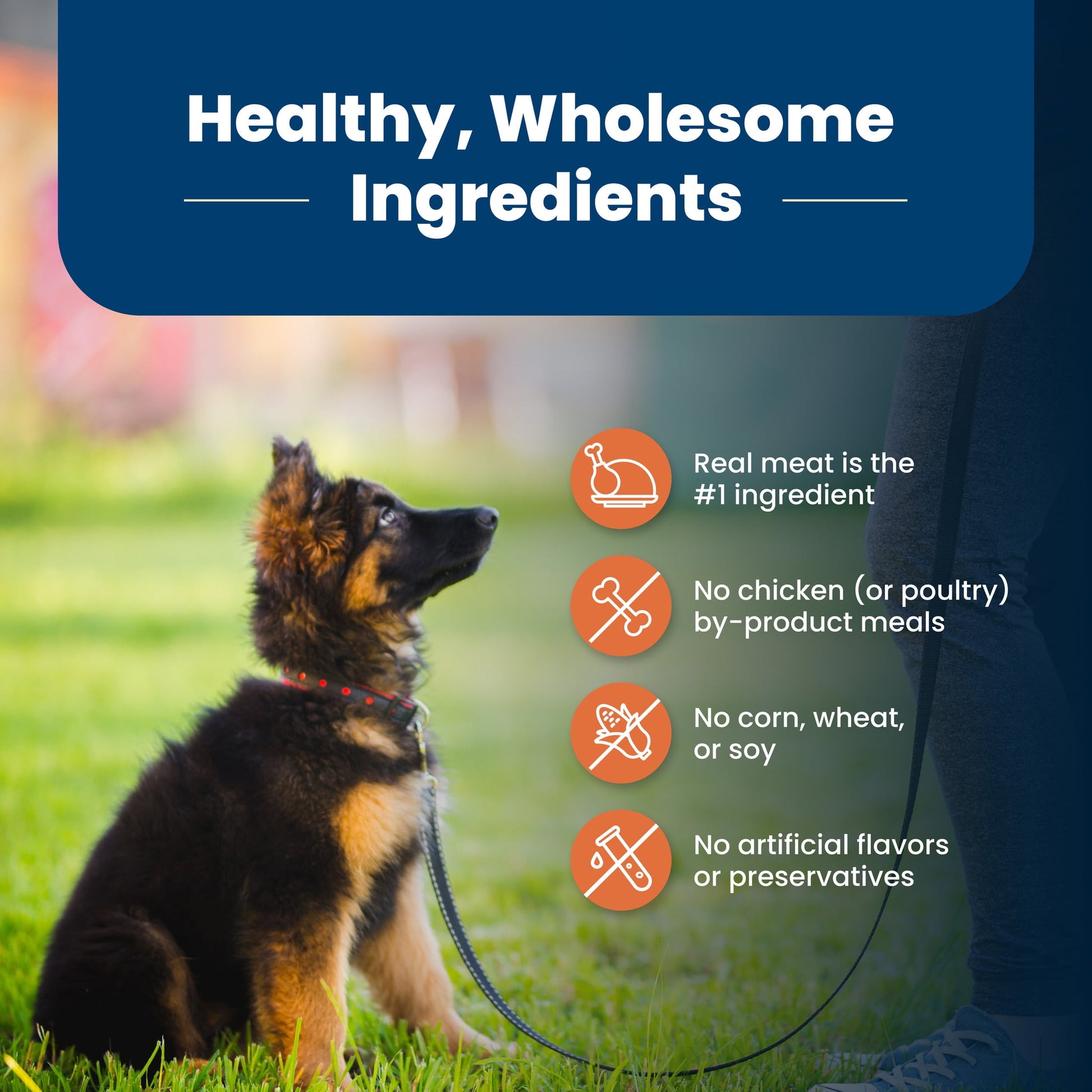 Blue Buffalo Life Protection Formula Large Breed Dry Puppy Food, Chicken & Rice, 15 lbs.