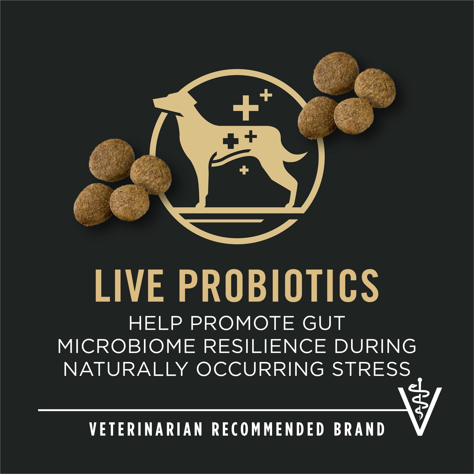 Purina Pro Plan Large Breed Dry High Protein Dog Food with Probiotics for Dogs, Beef and Rice Formula, 36 lb Bag