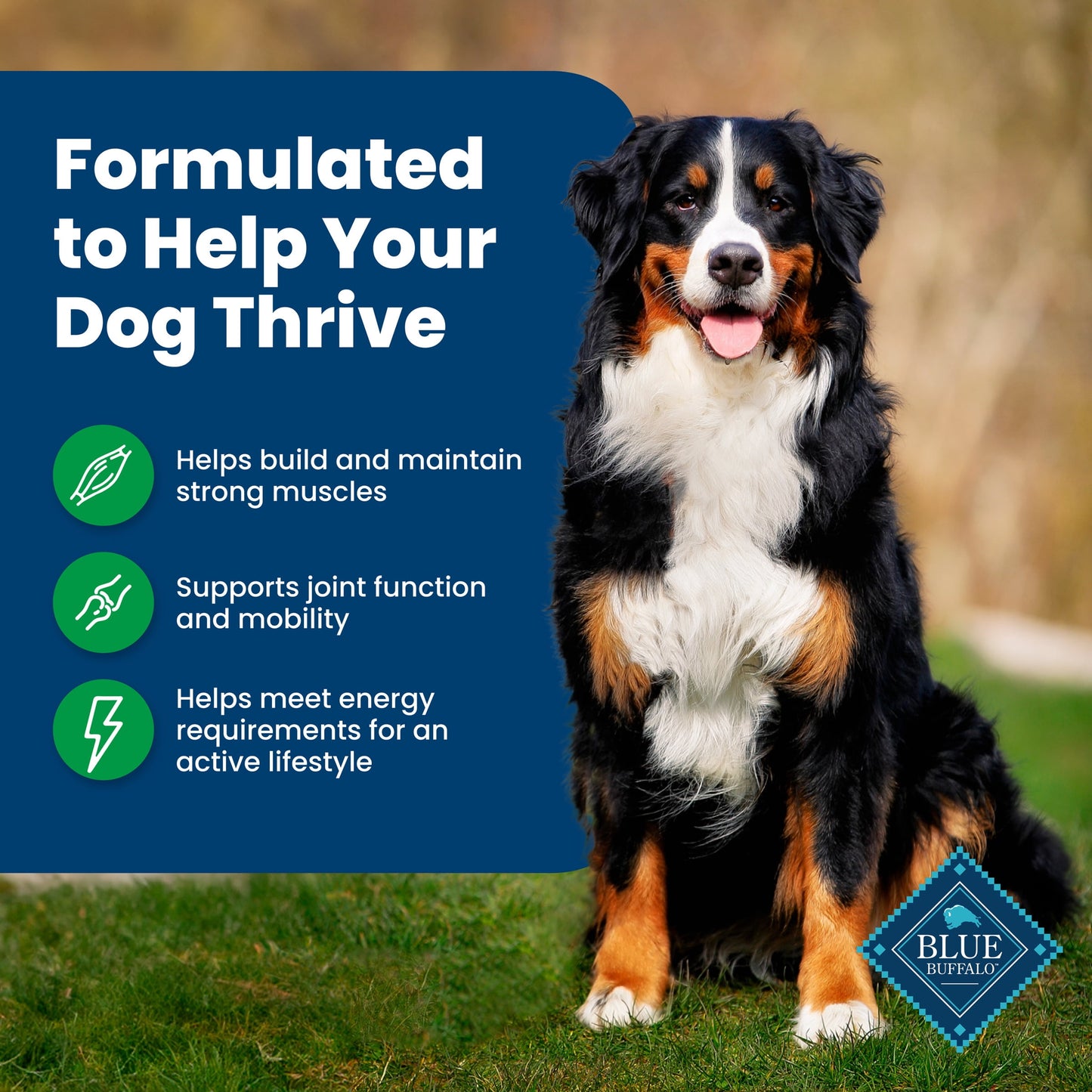 Blue Buffalo Life Protection Formula Adult Dry Dog Food, Lamb & Brown Rice, 5 lbs.