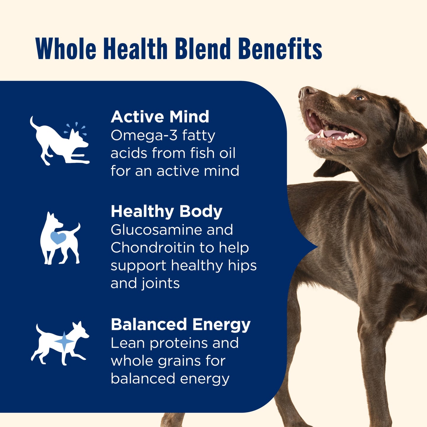 Nutrish Large Breed Real Beef, Pea, Carrot & Brown Rice Recipe Whole Health Blend Dry Dog Food, 28 lb. Bag (Rachael Ray)