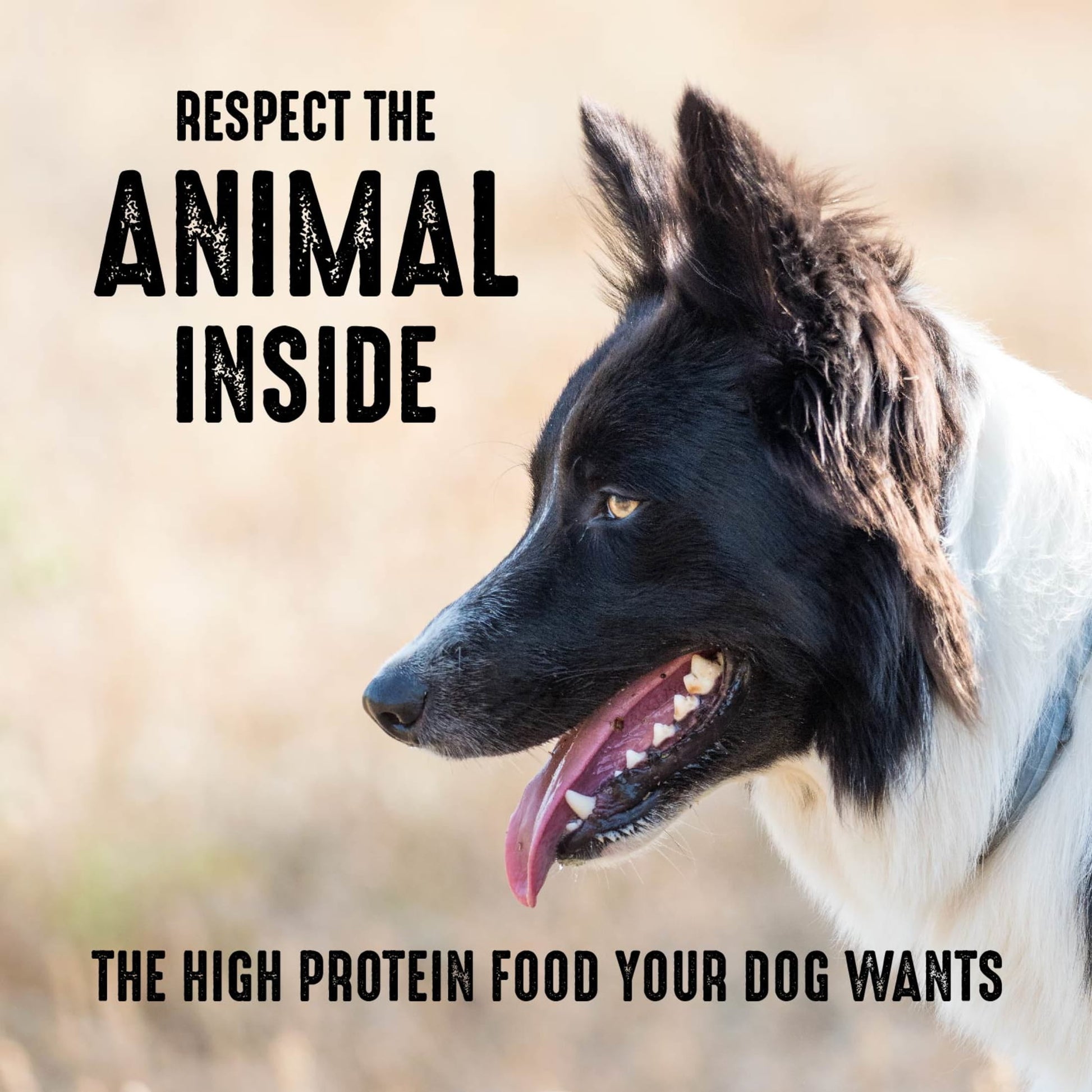 Crave Grain Free Adult Dry Dog Food With Protein From Chicken, 22 Lb. Bag