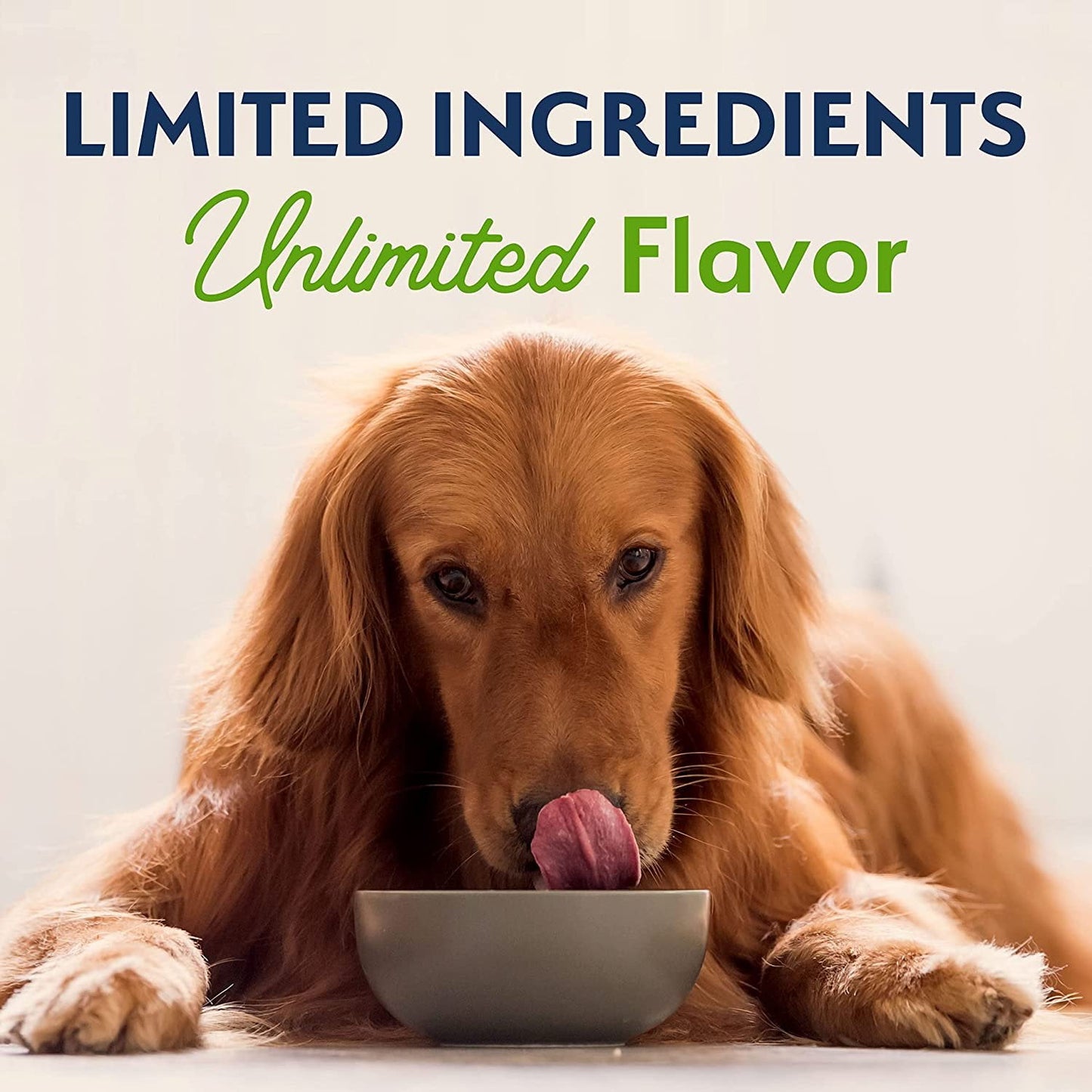 Natural Balance Pet Foods Limited Ingredient Plant Powered Vegan-Friendly Dry Dog Food, 4 lb
