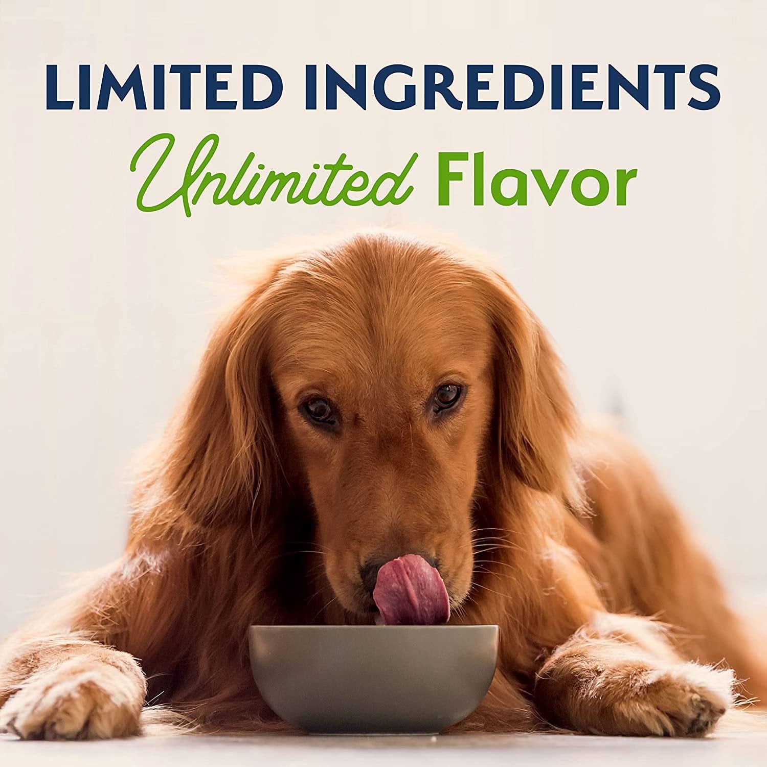 Natural Balance Pet Foods Limited Ingredient Plant Powered Vegan-Friendly Dry Dog Food, 4 lb