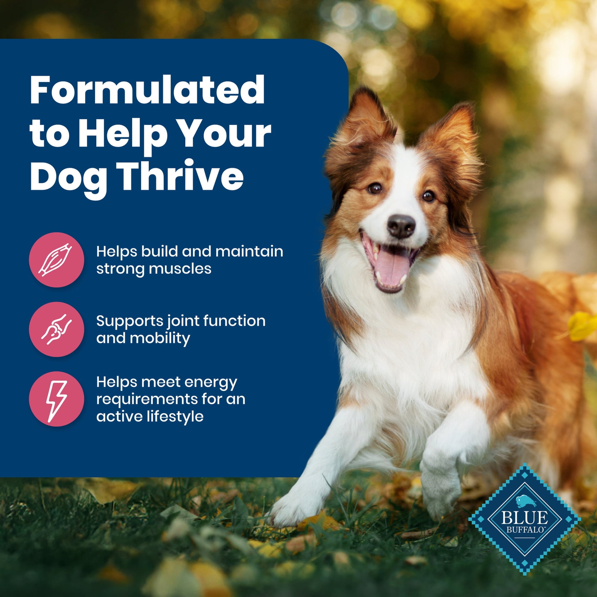 Blue Buffalo Life Protection Formula Adult Dry Dog Food, Salmon & Brown Rice, 5 lbs.