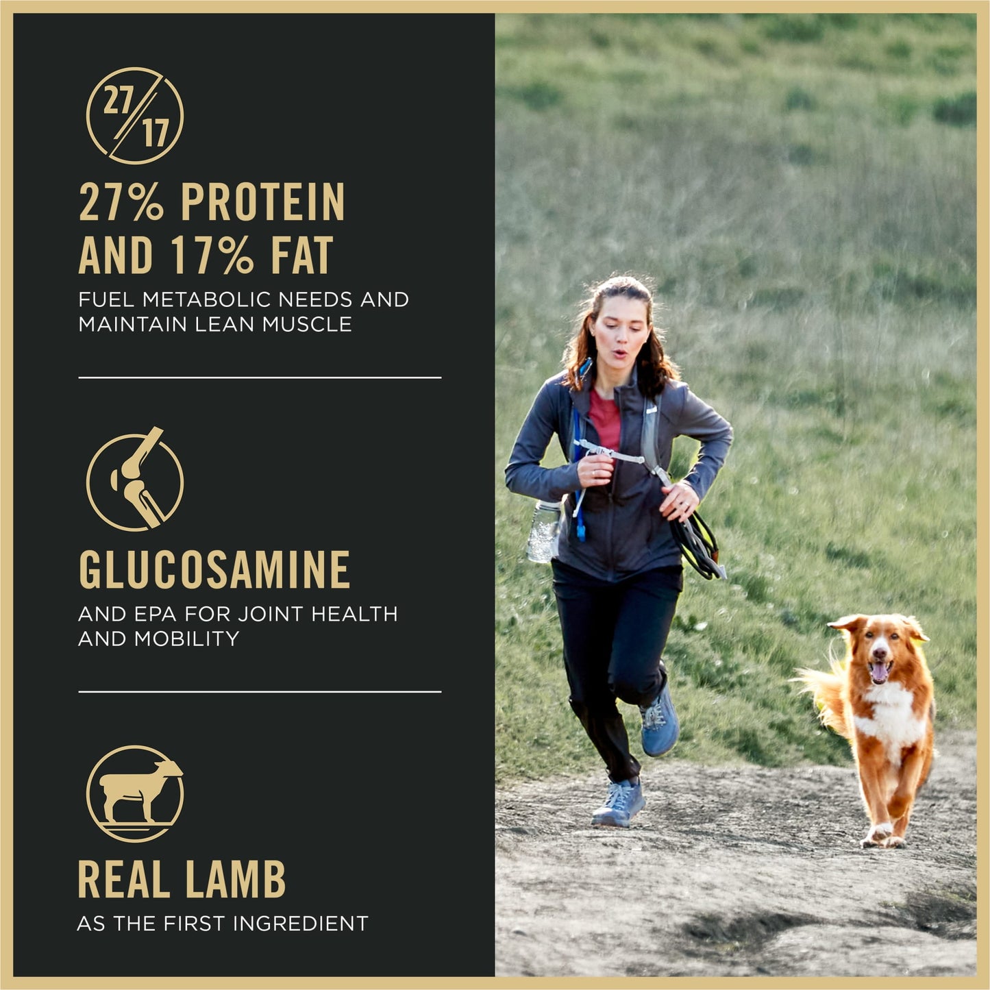 Purina Pro Plan High Protein Dry Dog Food, Small Bites Lamb and Rice Formula