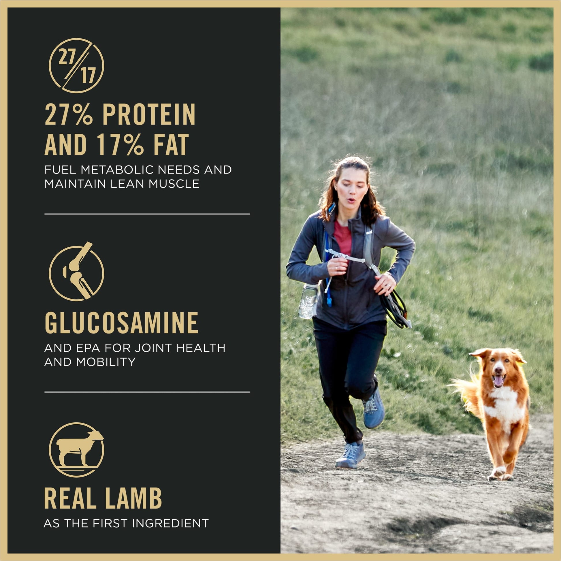 Purina Pro Plan High Protein Dry Dog Food, Small Bites Lamb and Rice Formula