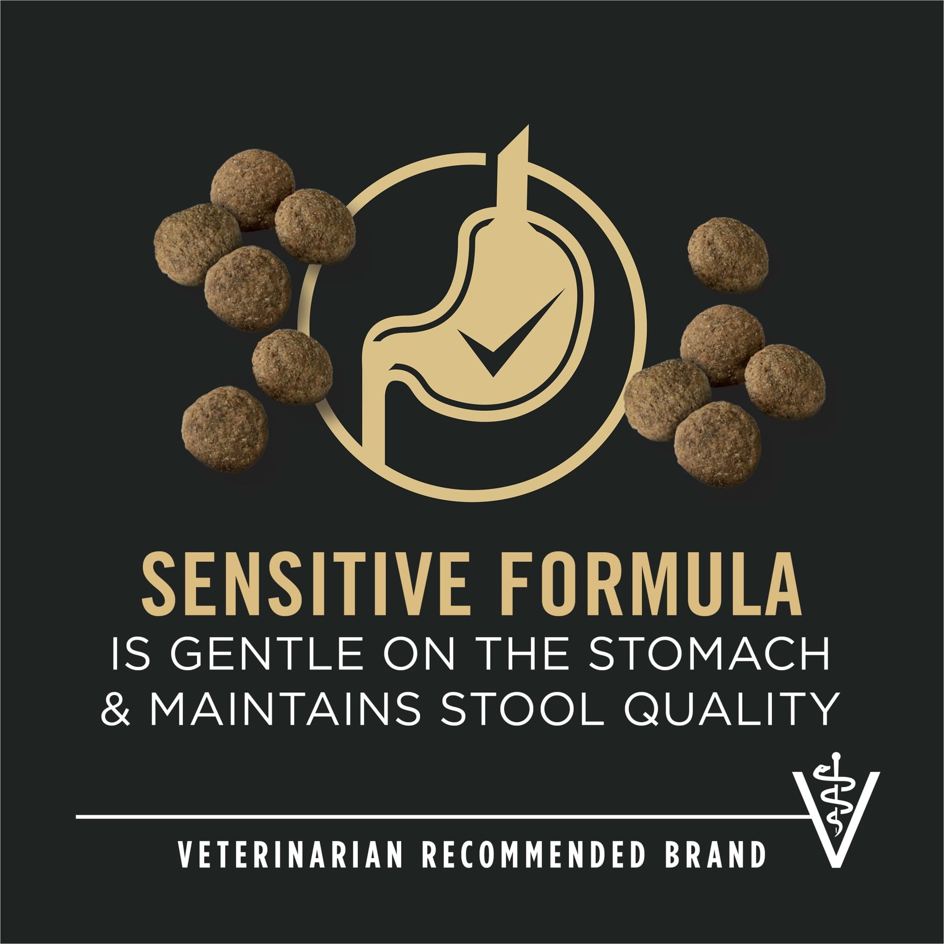 Purina Pro Plan Sensitive Skin and Sensitive Stomach Dog Food Large Breed Salmon and Rice Formula, 24 lb. Bag