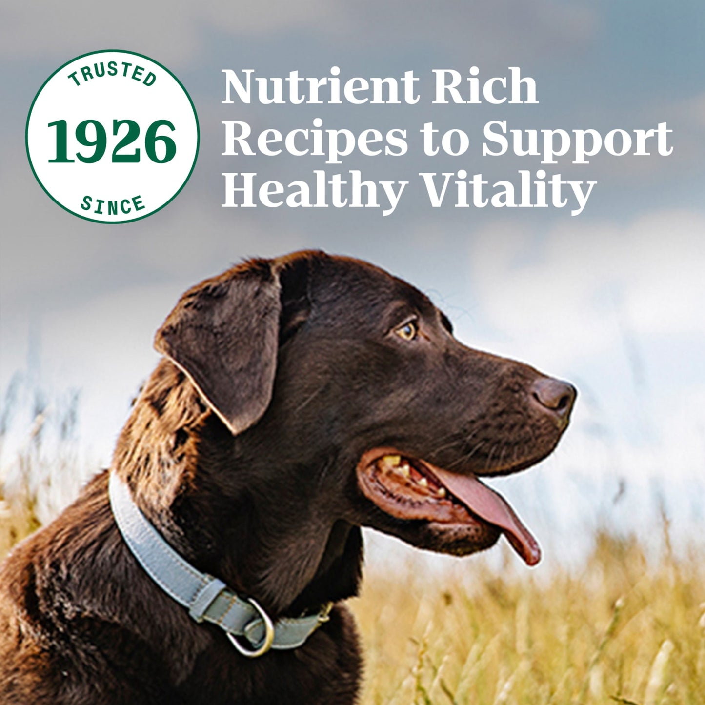 Nutro Natural Choice Adult Large Breed Dry Dog Food, Lamb And Brown Rice Recipe, 36 Lbs.